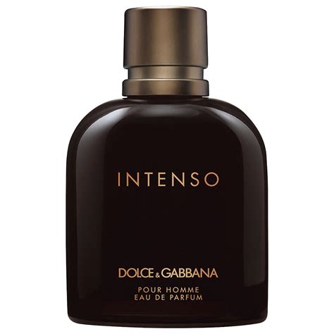 dolce gabbana intenso bewertung|dolce and gabbana intenso notes.